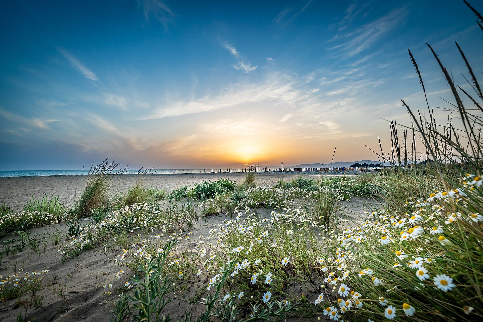 Tra Mare e Pineta, un’Esperienza Eco-Friendly in Maremma
