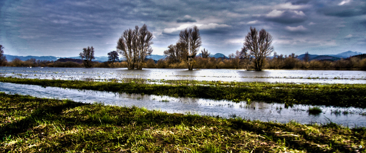 Ljubljansko Barje: un viaggio tra natura selvaggia e storia millenaria