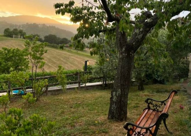 un sogno verde tra le colline dell’Umbria