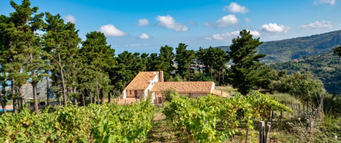 Gli Agriturismi Bio più Belli della Sicilia