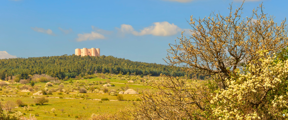 Grotte, Trulli e il Bio Agriturismo che Rispetta la Terra