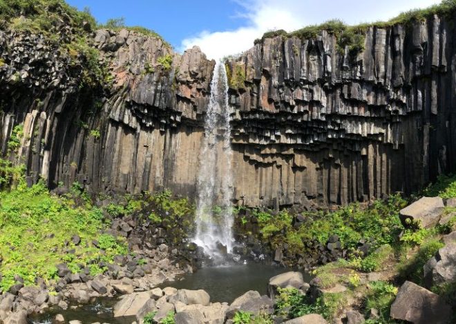Svartifoss: Guida alla cascata più affascinante d’Islanda