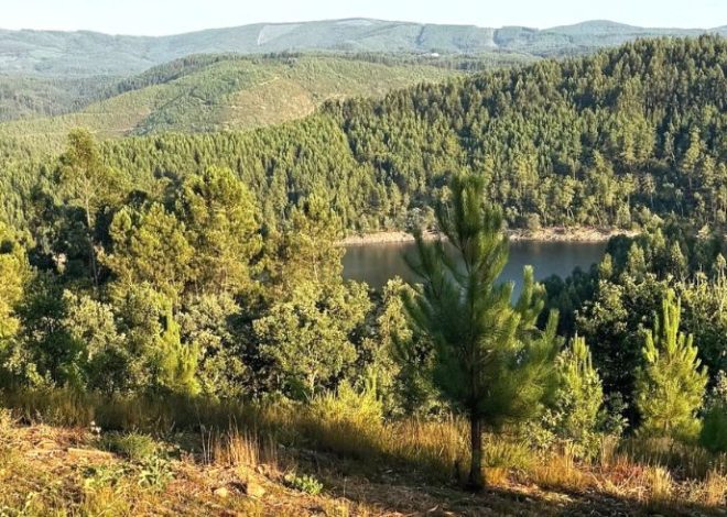 vivere sostenibile nel cuore verde del Portogallo