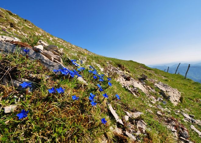 Trekking, Formaggio e Birra sul Monte Catria – Ecobnb