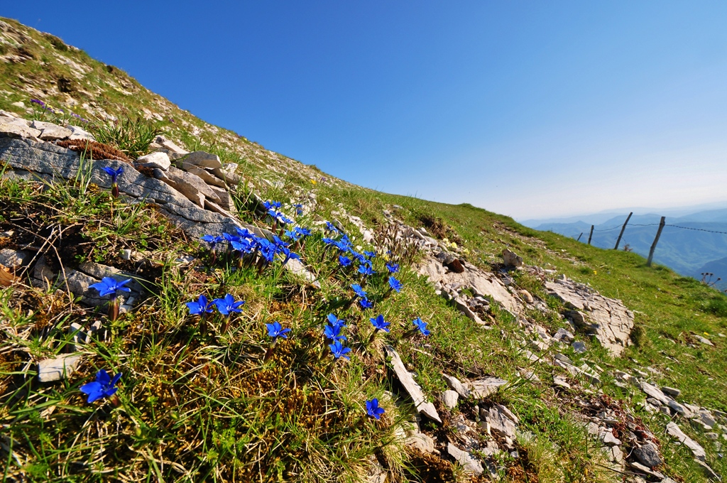 Trekking, Formaggio e Birra sul Monte Catria – Ecobnb