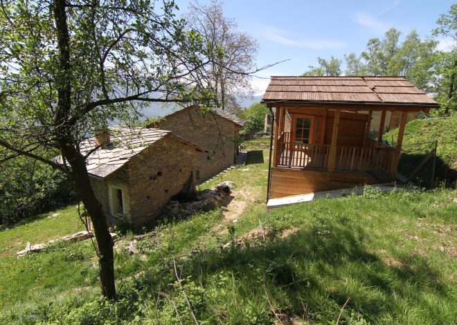 10 case tra gli alberi da sogno