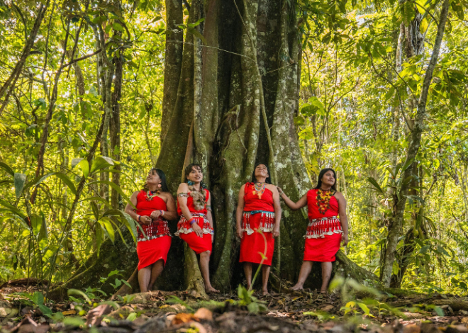 Scoprire la vita indigena in Amazzonia, Brasile