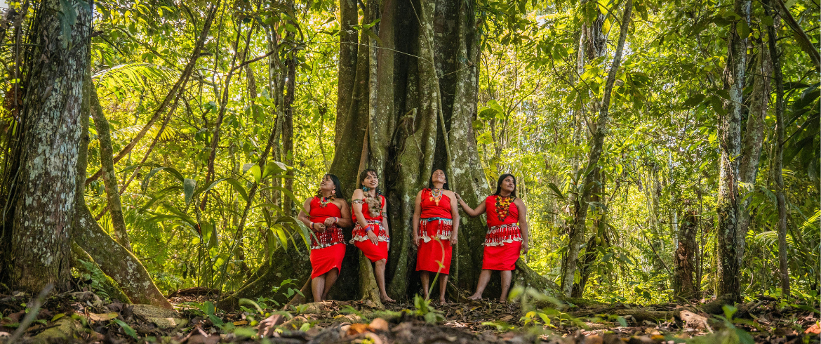 Scoprire la vita indigena in Amazzonia, Brasile