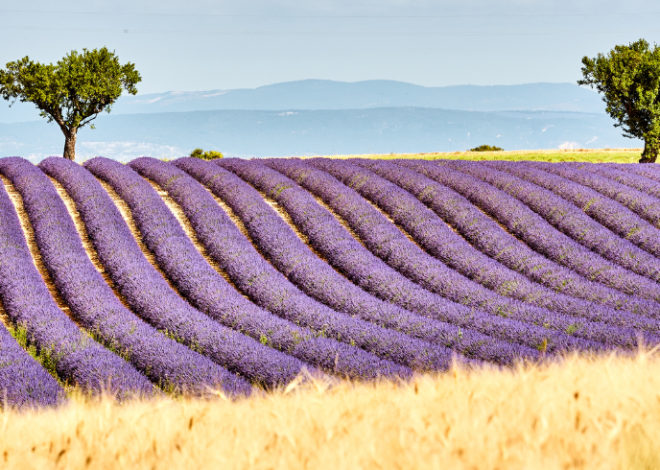 Viaggio Green nei Parchi Naturali della Provenza