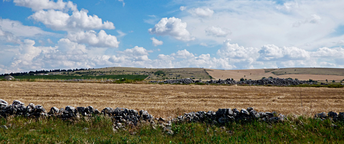 Murge meridionali: cosa vedere tra natura, borghi e masserie sostenibili