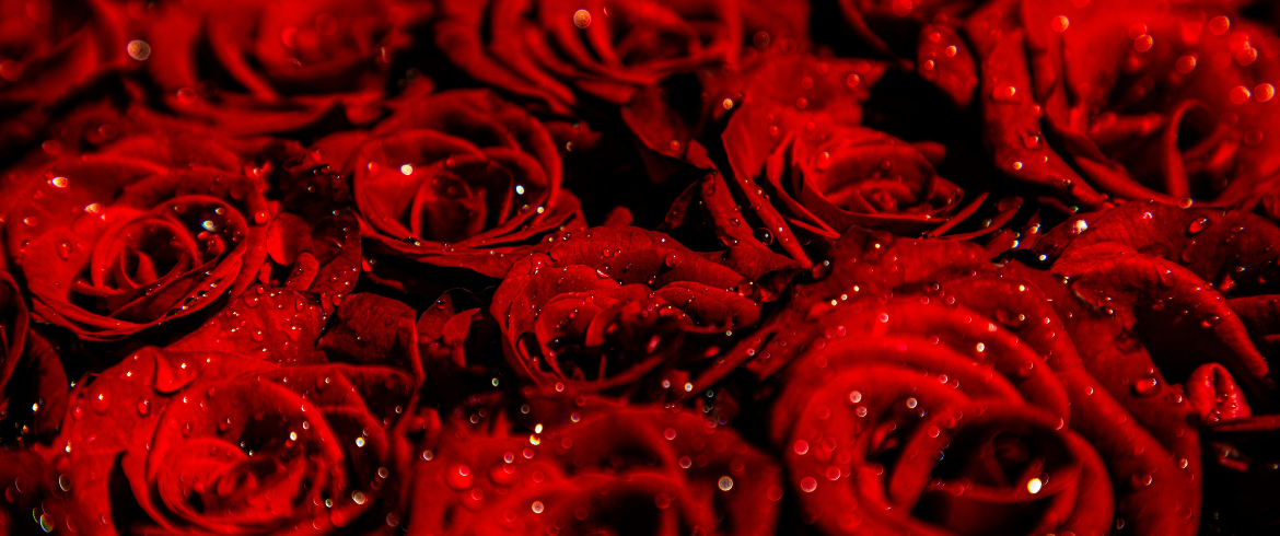 i giardini e i parchi con le rose più belle da visitare
