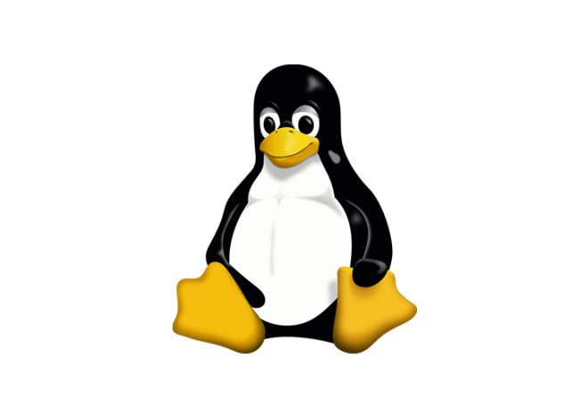 la vulnerabilità che consente accesso root