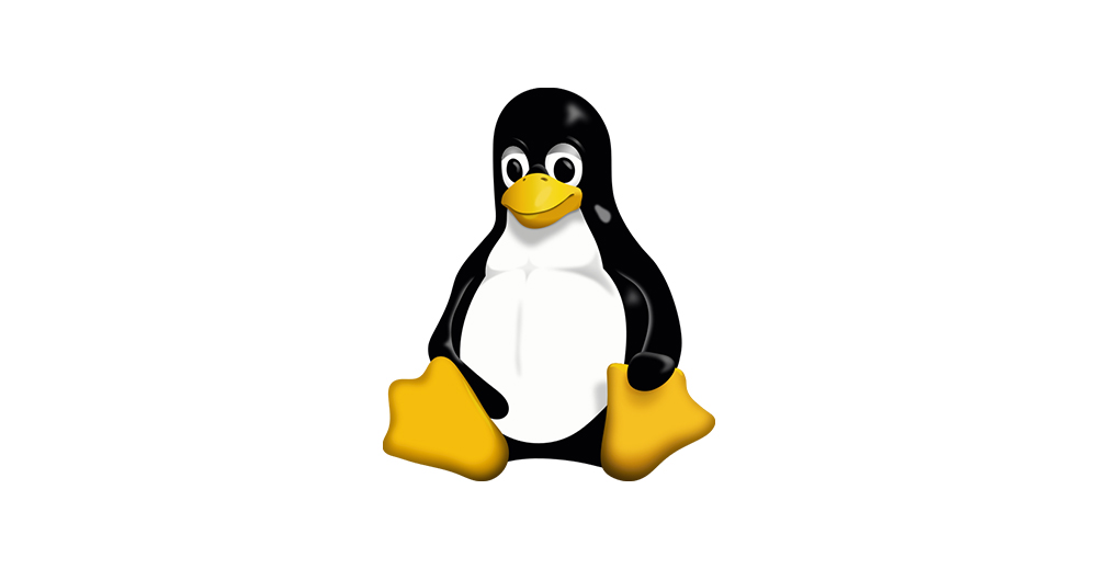 la vulnerabilità che consente accesso root