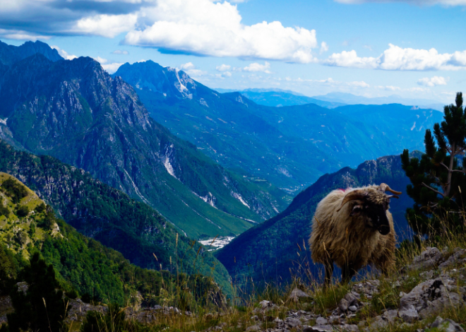 Come pianificare un viaggio ecosostenibile in Albania