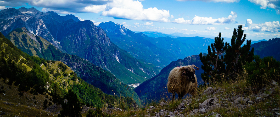 Come pianificare un viaggio ecosostenibile in Albania