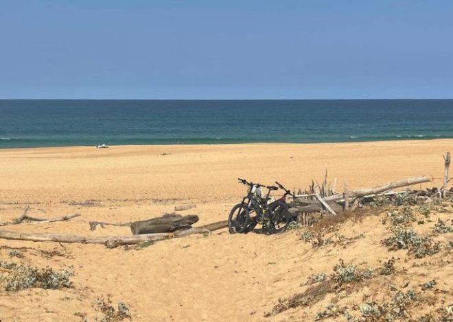 Ondres e le Landes in bicicletta: tra oceano e foresta