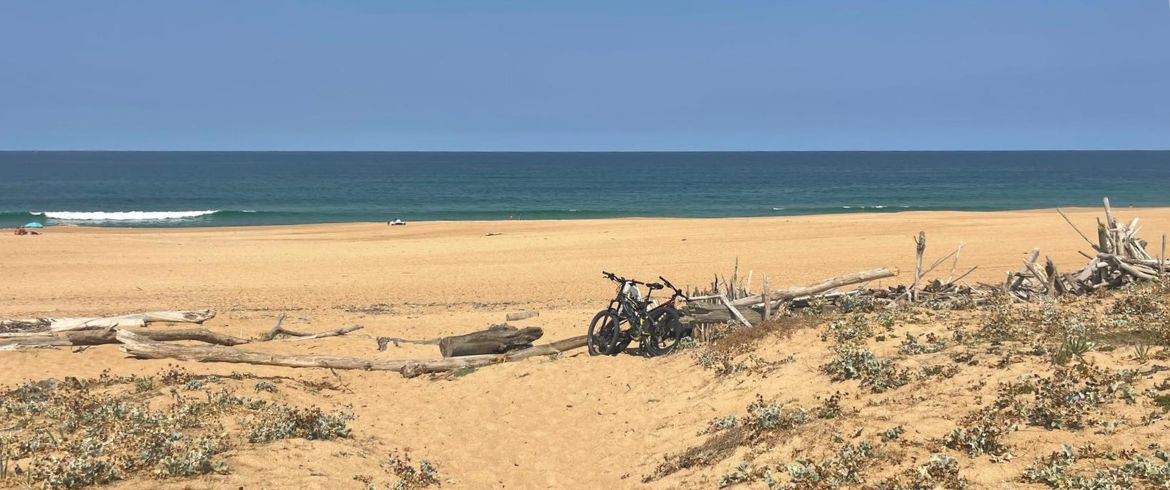 Ondres e le Landes in bicicletta: tra oceano e foresta