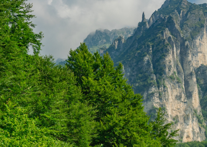 cosa vedere tra natura e storia